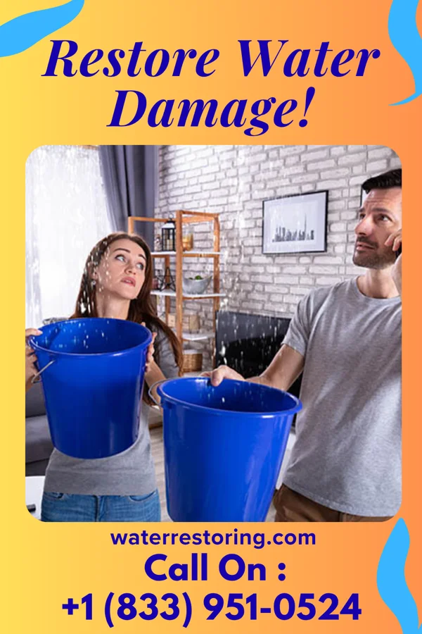 water restoration Peak Water Mitigation Experts LaGrange