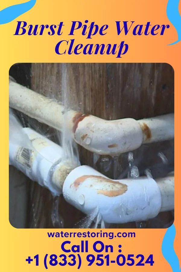 Burst Pipe Water Cleanup in LaGrange, OH