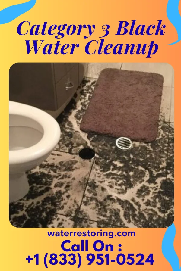 Category 3 Black Water Cleanup in LaGrange, OH