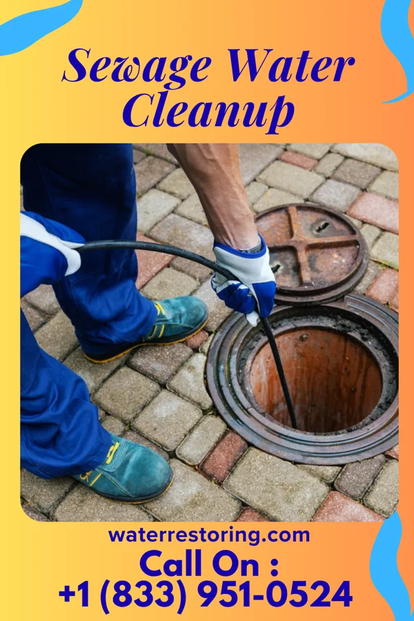 Sewage Water Cleanup in LaGrange, OH