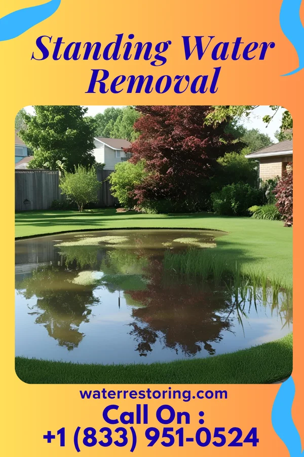 Standing Water Removal in LaGrange, OH